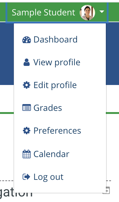 screenshot of user profile navigation menu 