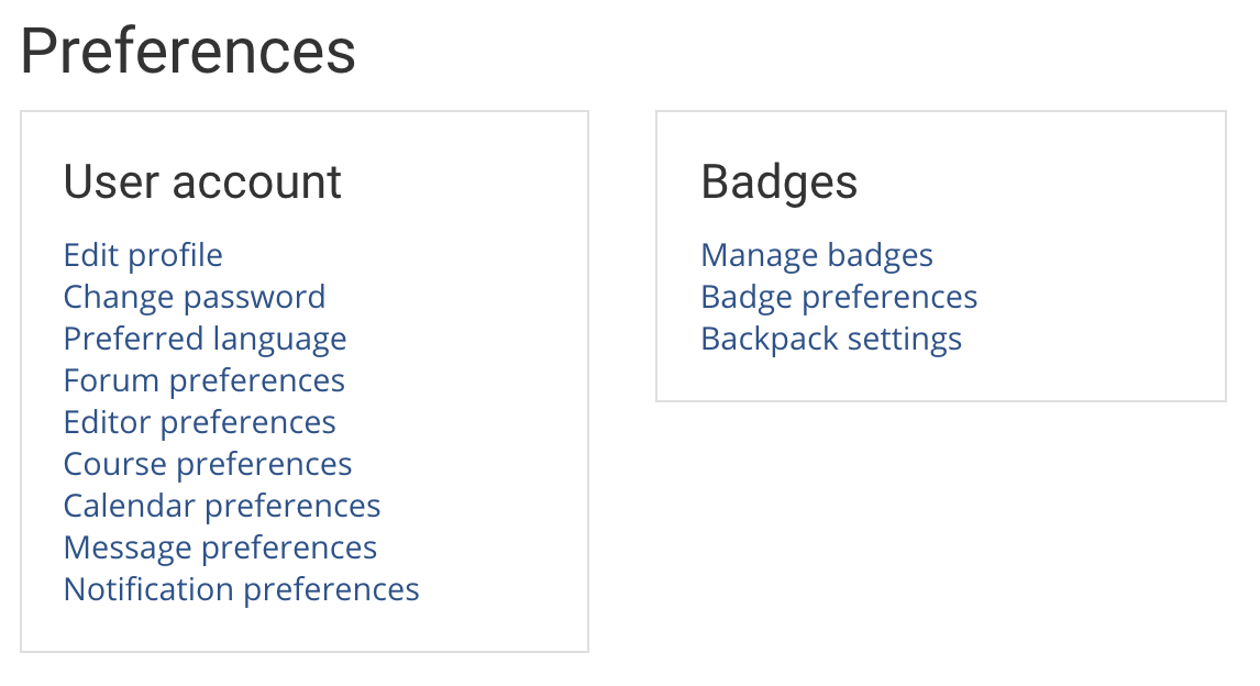 screenshot of user preferences